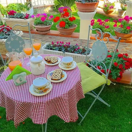 Il Giardino Da Pina Bed & Breakfast *
