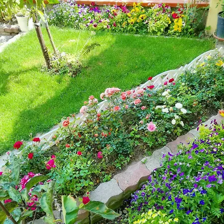 Il Giardino Da Pina