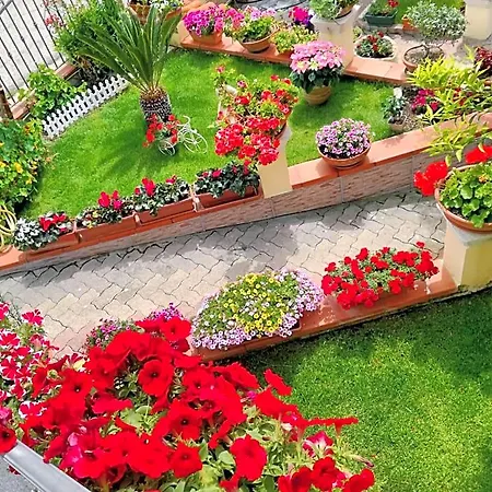 Il Giardino Da Pina לינה וארוחת בוקר Tuili