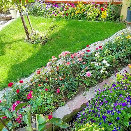 فندق مبيت وإفطار Il Giardino Da Pina 3*