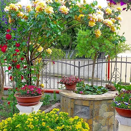 Bed & Breakfast Il Giardino Da Pina
