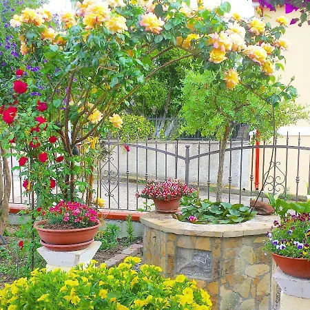 Il Giardino Da Pina Bed and breakfast